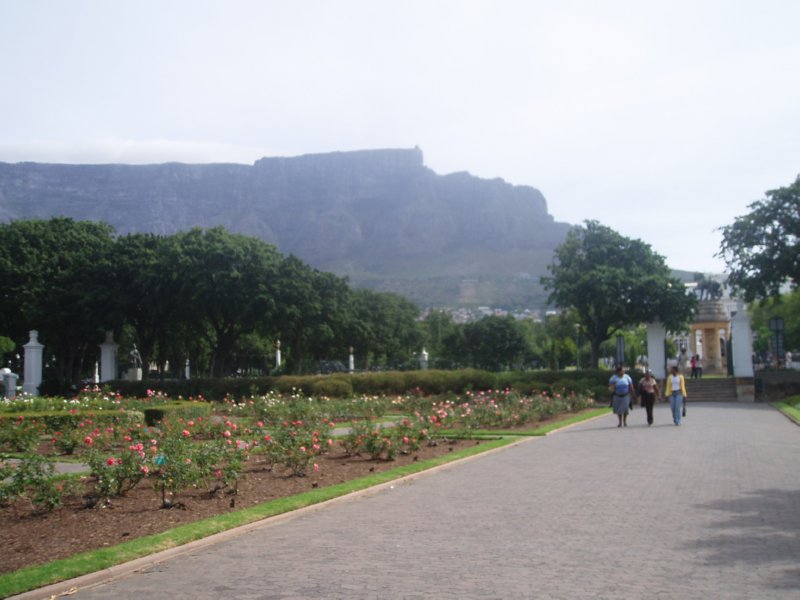 KeHa_in_South_Africa - 045